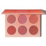 پالت رژگونه شیگلم SHEGLAM مدل Floral flush