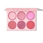 پالت رژگونه شیگلم SHEGLAM مدل Blushing Bouquet